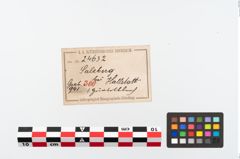 Etikett zu Bronzegürtelblech (NHMW-PRAE-024632)
